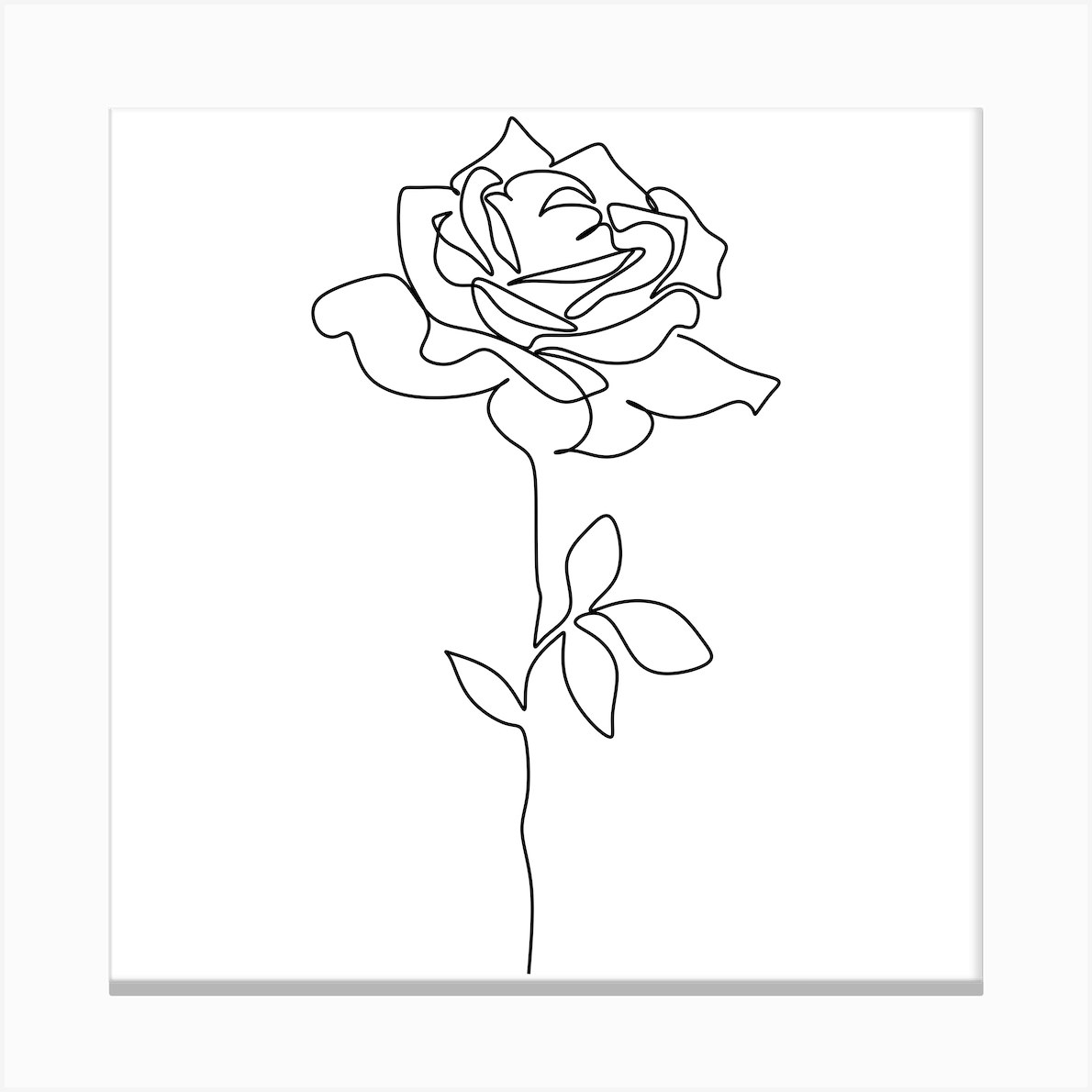 Rose One Line Canvas Print by OneLinePrint Fy