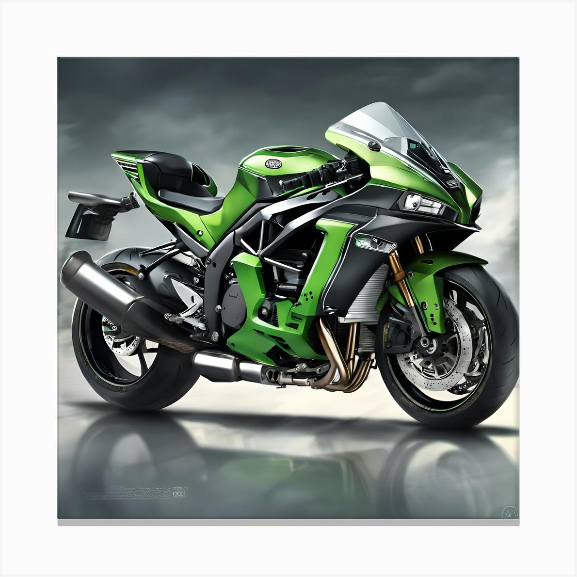 Ninja h1 sales