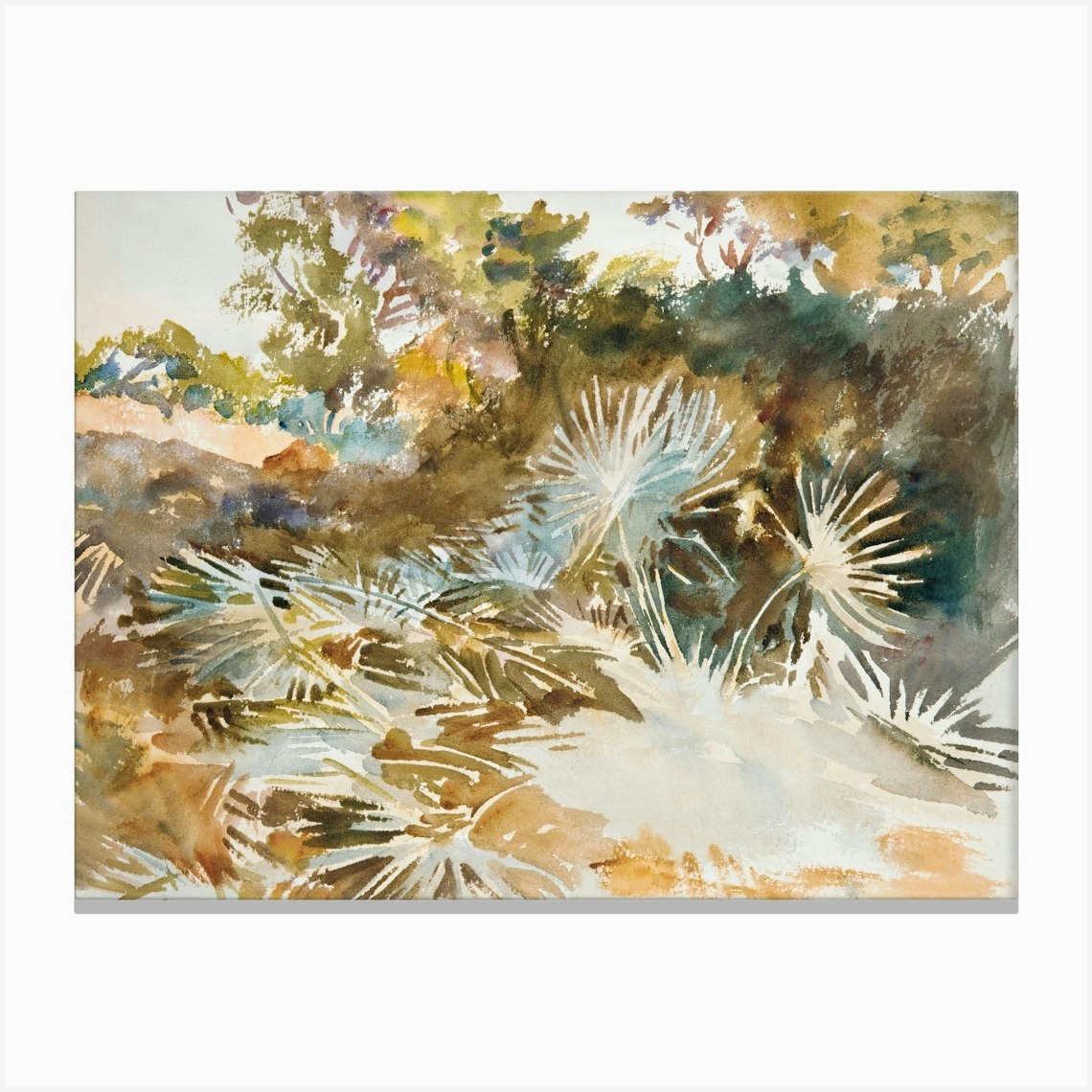 Landscape With Palmettos (1917), John Singer Sargent Canvas Print by Fy ...