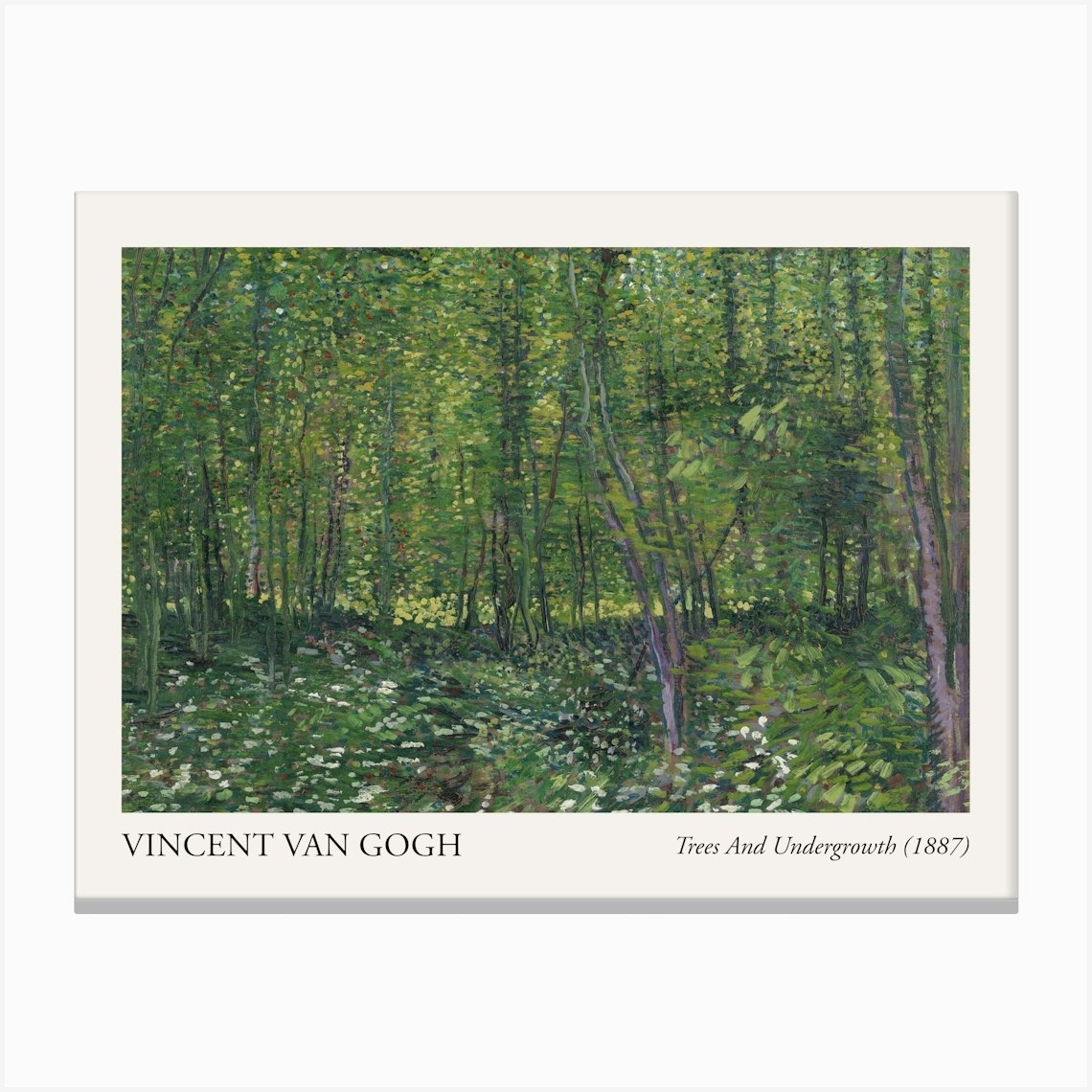 Trees And Undergrowth, 1887 By Vincent Van Gogh Poster Canvas Print by ...