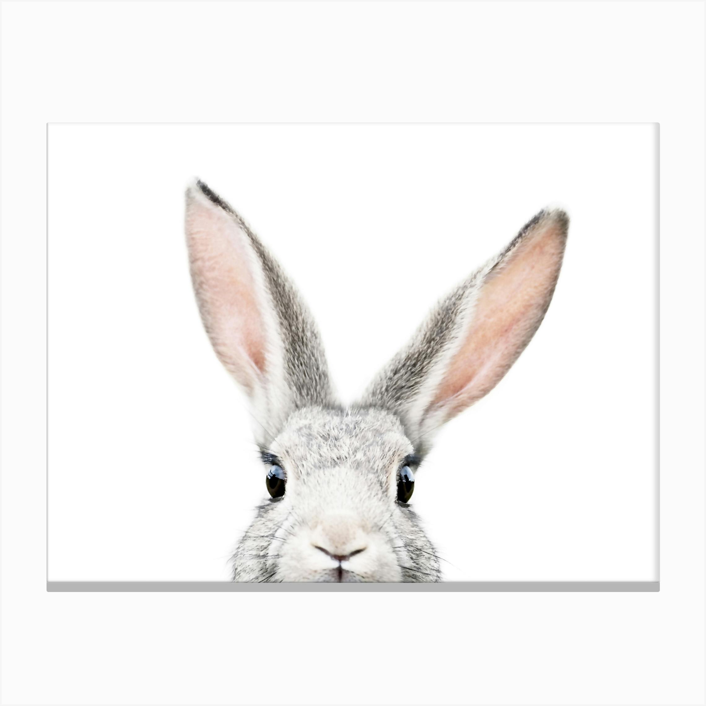 Peekaboo Bunny Wall Art Print | Free Bunny Face Canvas Print by Sisi and Seb