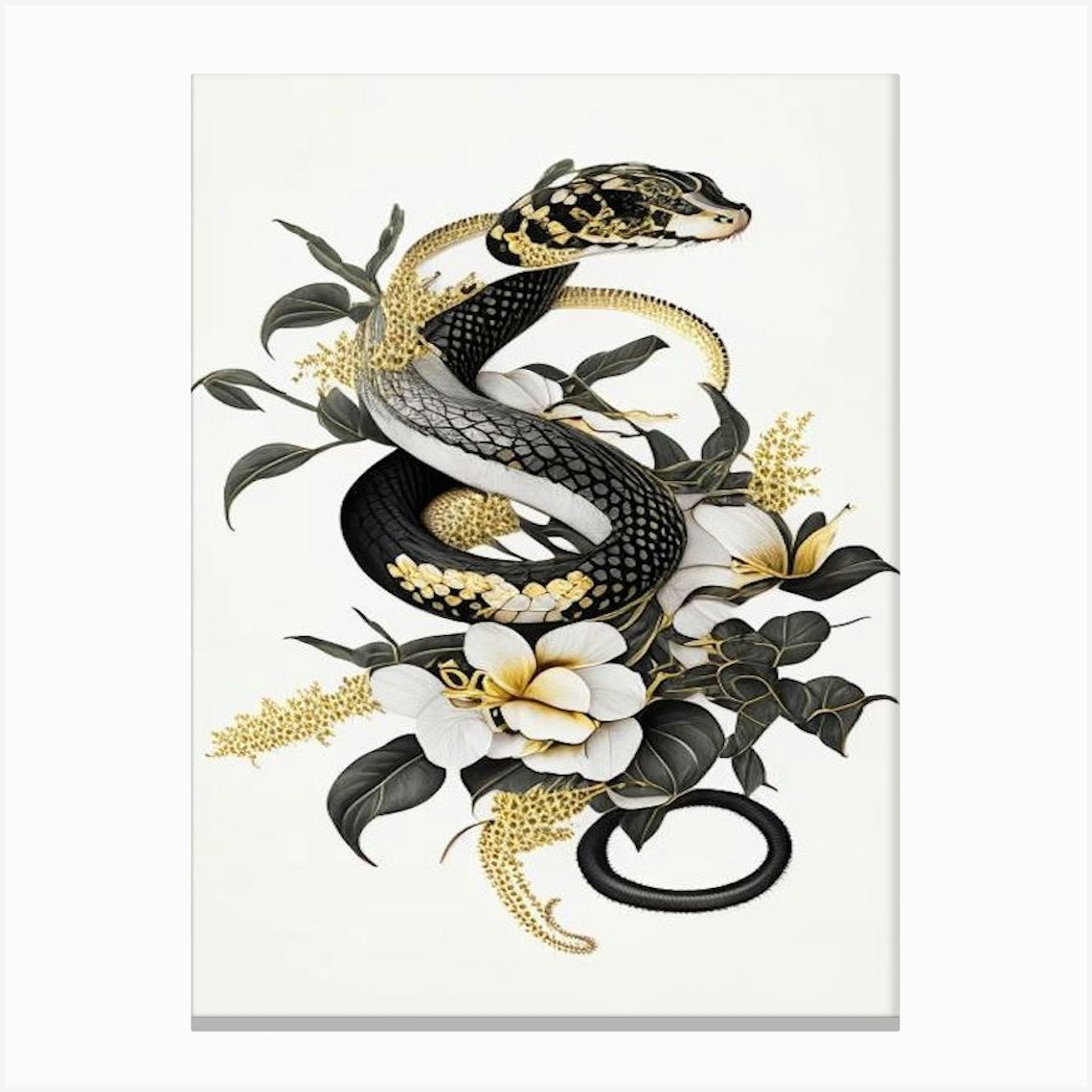 Banded Krait Snake Gold And Black Canvas Print by The Snake Pit - Fy