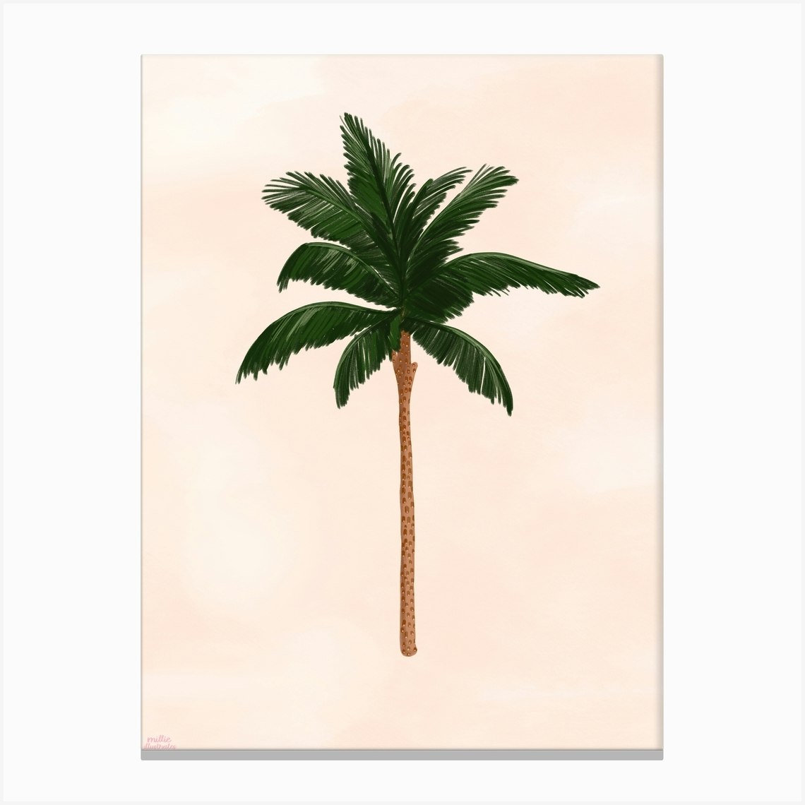 Palm Tree Canvas Print by Millie Illustrates Fy