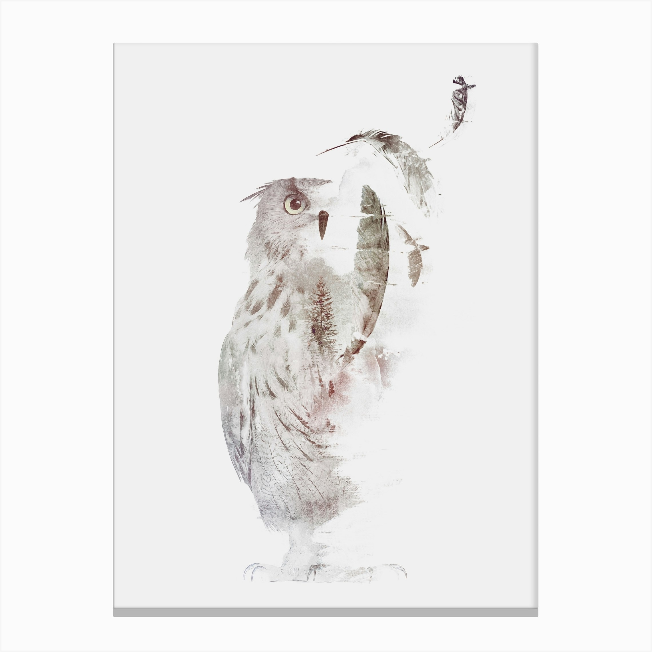 FadeOut Canvas Print by Róbert Farkas Fy