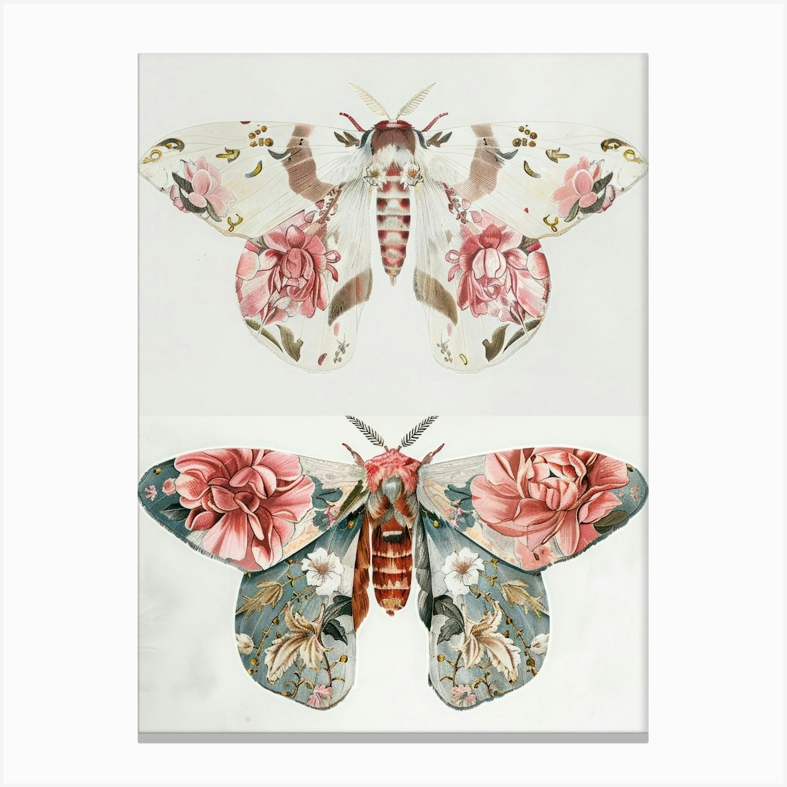 Moths And Butterflies William Morris Style 1 Canvas Print by All Things ...