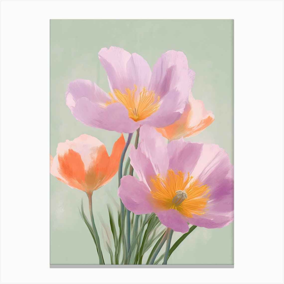 Crocus Flowers Acrylic Painting In Pastel Colours 2 Canvas Print by ...