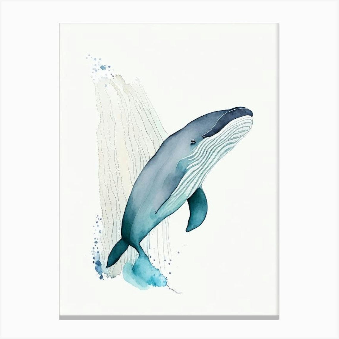 Ginkgo Toothed Beaked Whale Minimilist Watercolour (2) Canvas Print by ...