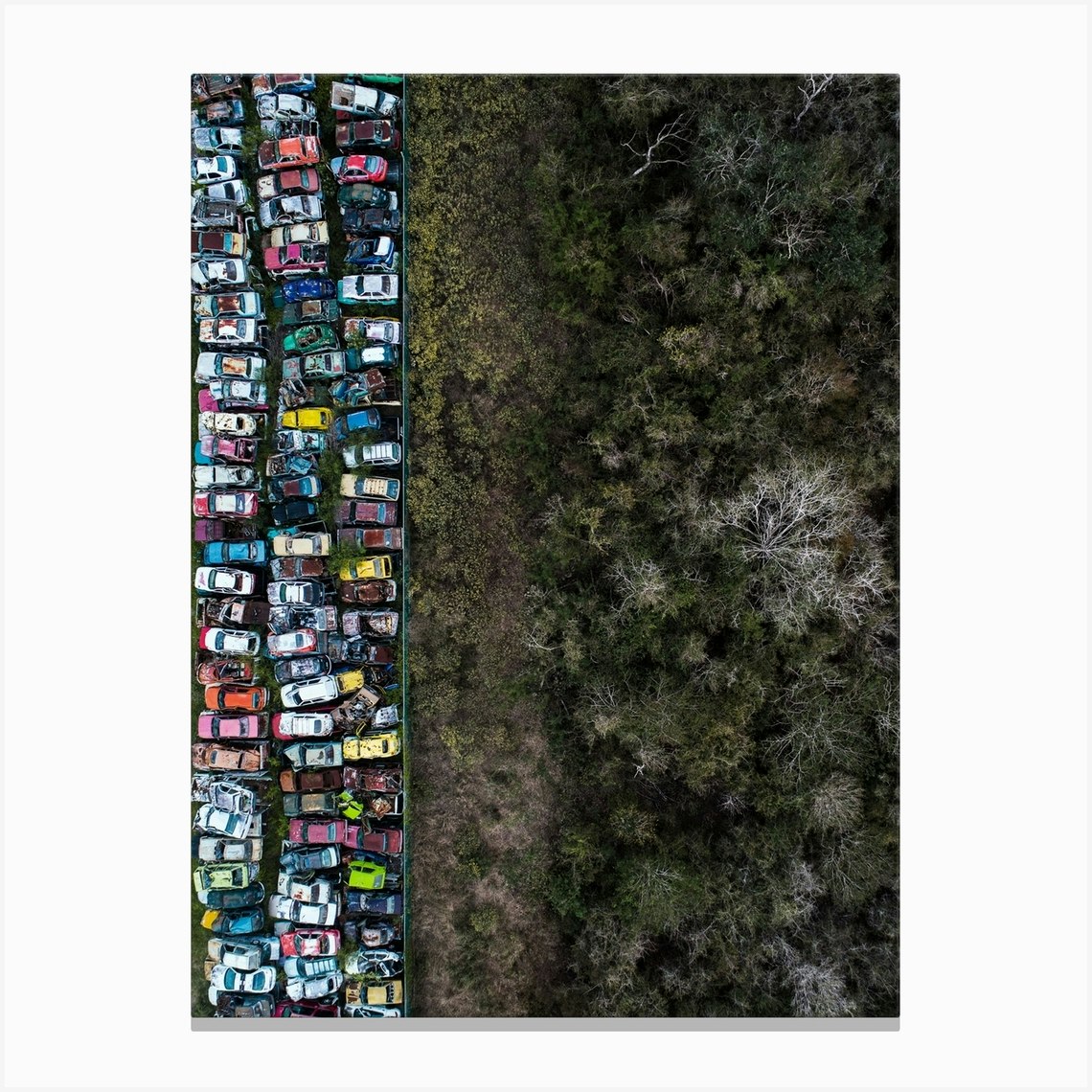 Zombie Canvas Print by Roberto H Fy