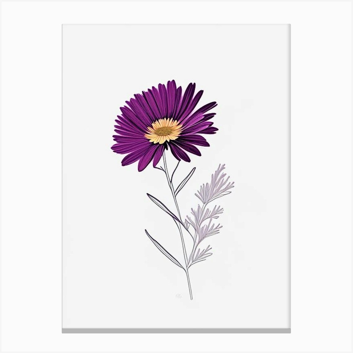 Aster Floral Minimal Line Drawing 1 Flower Canvas Print by The Artsy ...