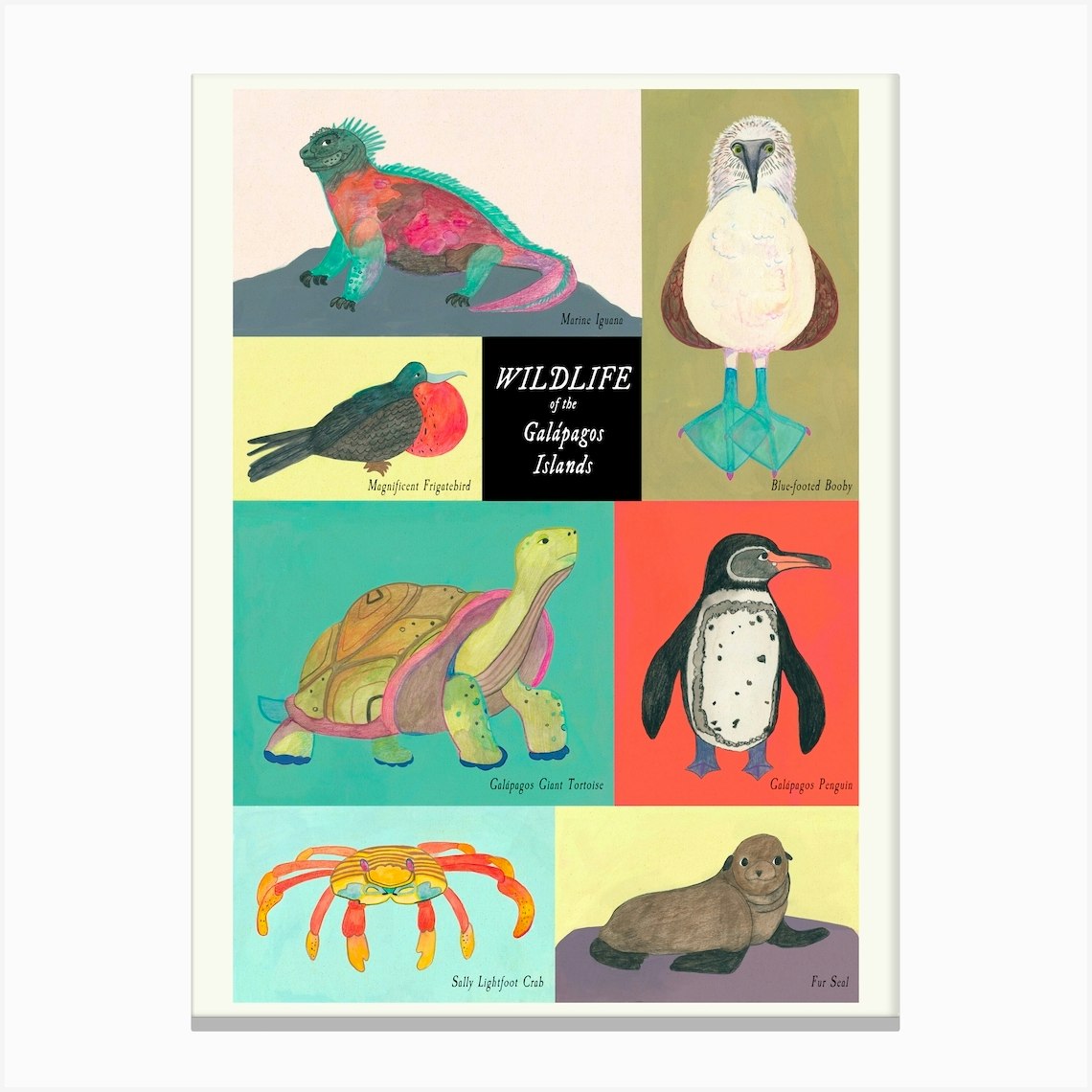 Galapagos Animals Canvas Print by KBurns Art Fy