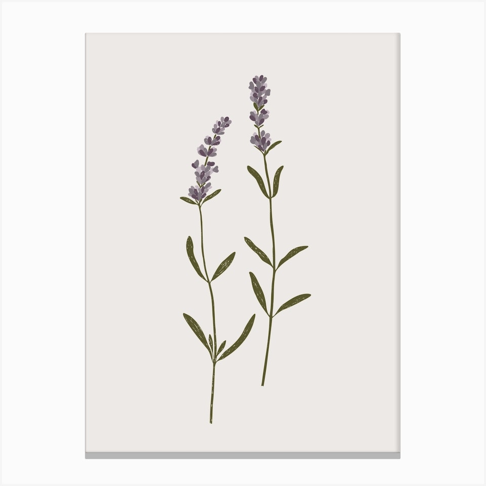 Sprigs Of Lavender Art Print by Gooseberry Moon - Fy