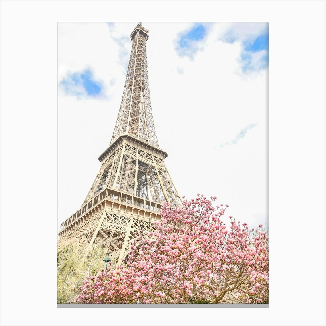 Eiffel Tower Magnolia Canvas Print by Victoria's Stories - Fy