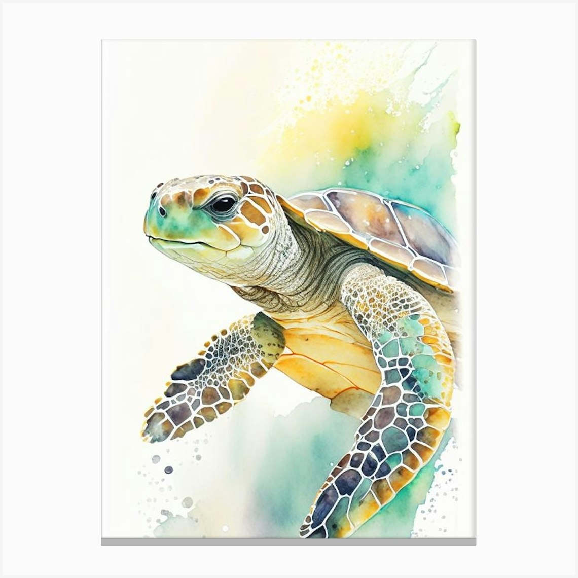 Loggerhead Sea Turtle (Caretta Caretta), Sea Turtle Storybook ...