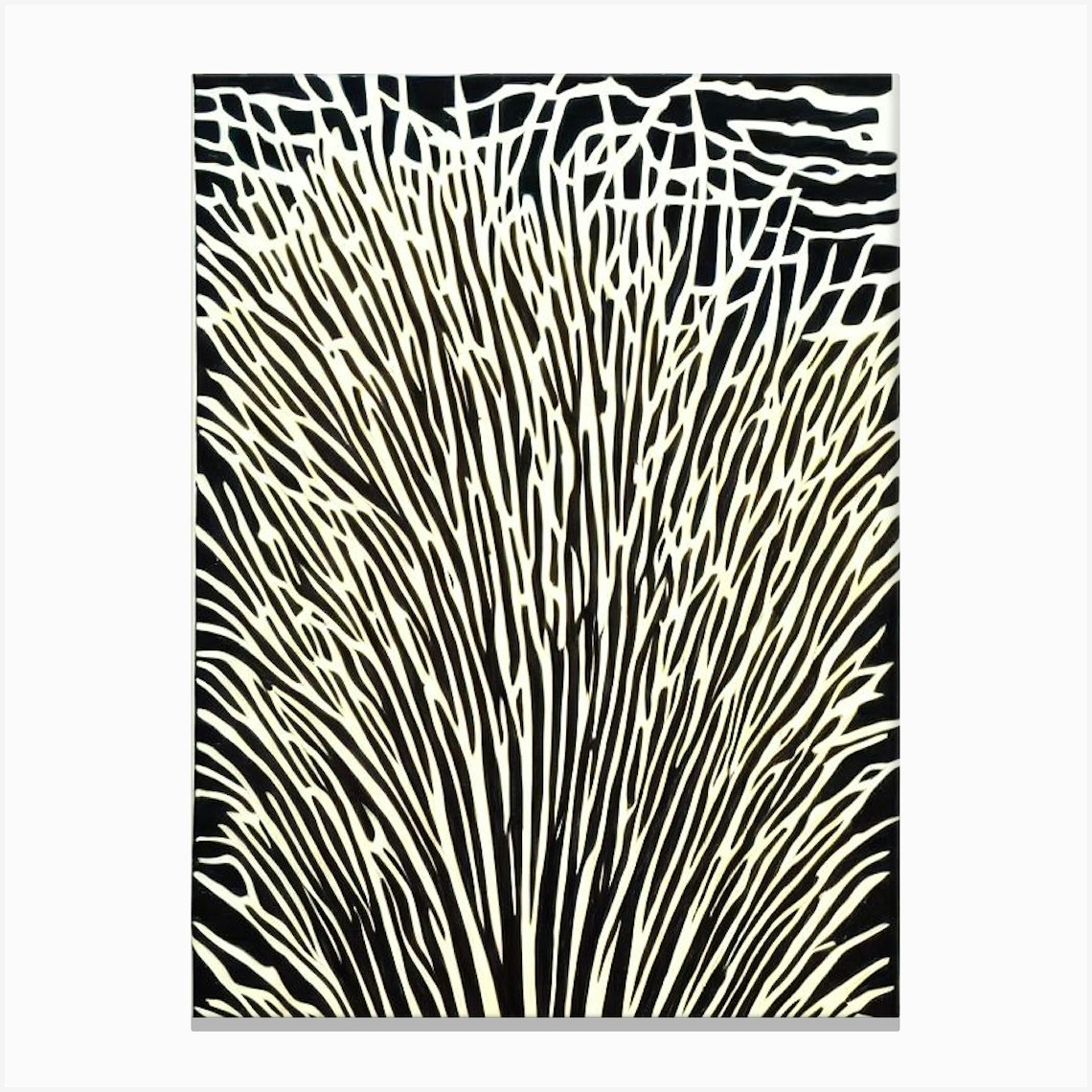 Acropora Digitifera Iiii Linocut Canvas Print by Reef Reflections - Fy