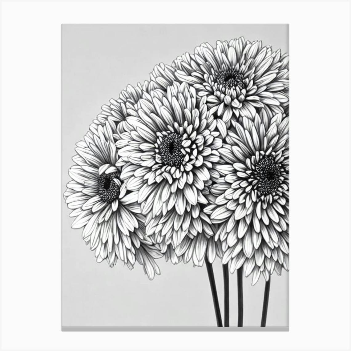 Chrysanthemums B&W Pencil 2 Flower Canvas Print By The Artsy Florist - Fy