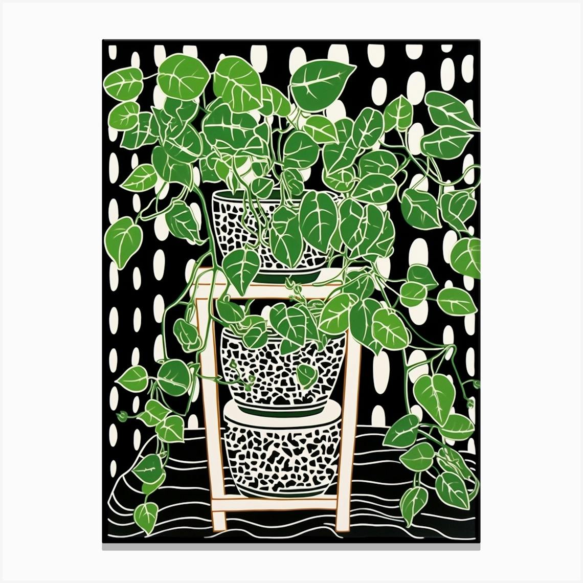 B&W Plant Illustration Pothos 3 Canvas Print By Botanic Studio - Fy