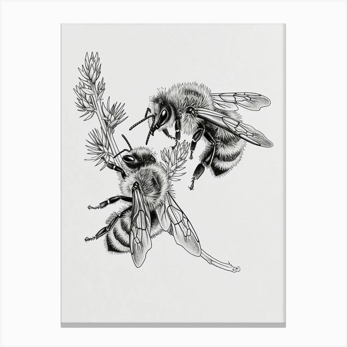 Leafcutter Bee Storybook Illustration 23 Canvas Print by Hive