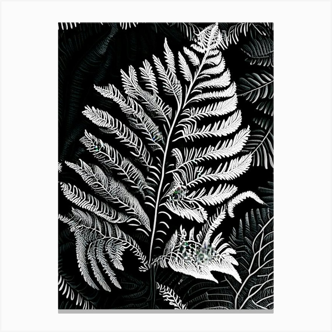 Walking Fern Linocut Canvas Print By Ferntastic Prints - Fy