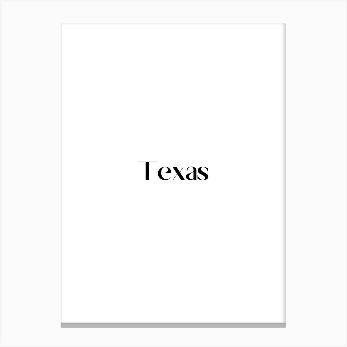 Texas city. Canvas Print