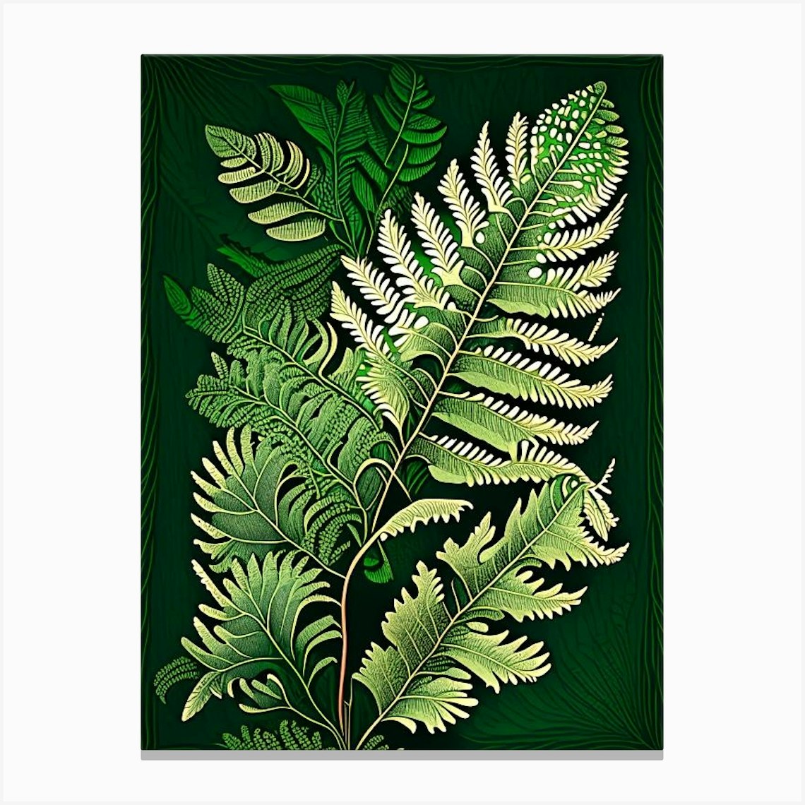 Beech Fern, Wildflower Vintage Botanical Canvas Print by Wildflower ...