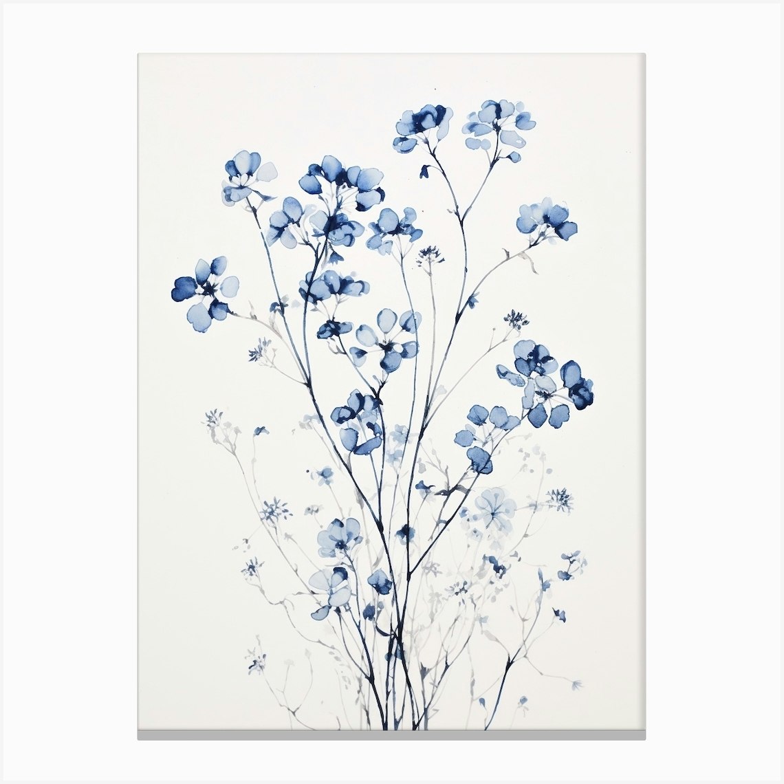 Blue Botanical Gypsophila Babys Breath 1 Canvas Print by Botanic Studio ...