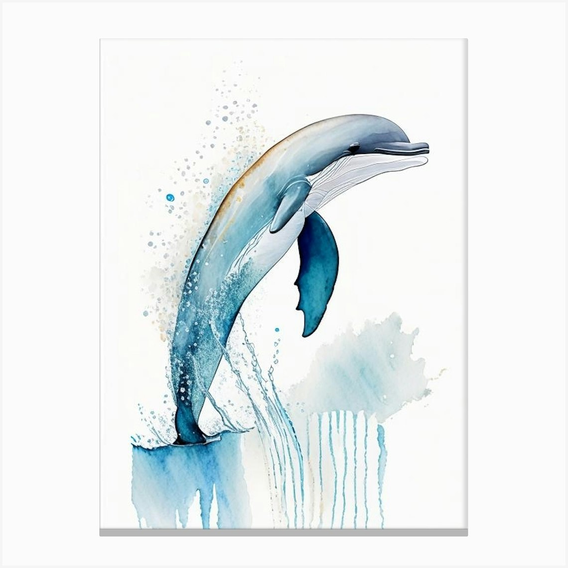 Atlantic Humpback Dolphin Minimilist Watercolour (1) Canvas Print by ...