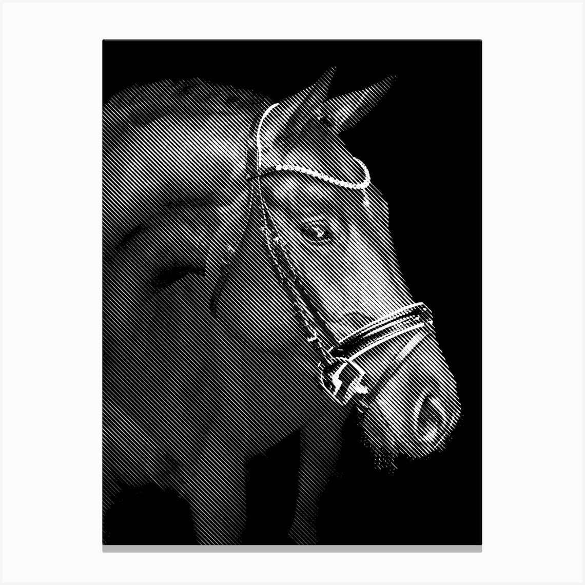 Horse Line Art 1 Canvas Print By Andika Bahtiar - Fy