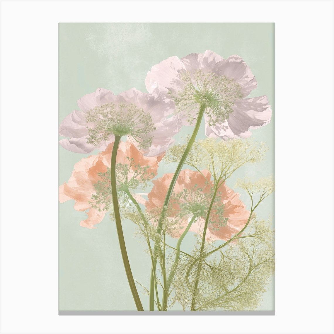 Queen Annes Lace Flowers Acrylic Painting In Pastel Colours 4 Canvas ...