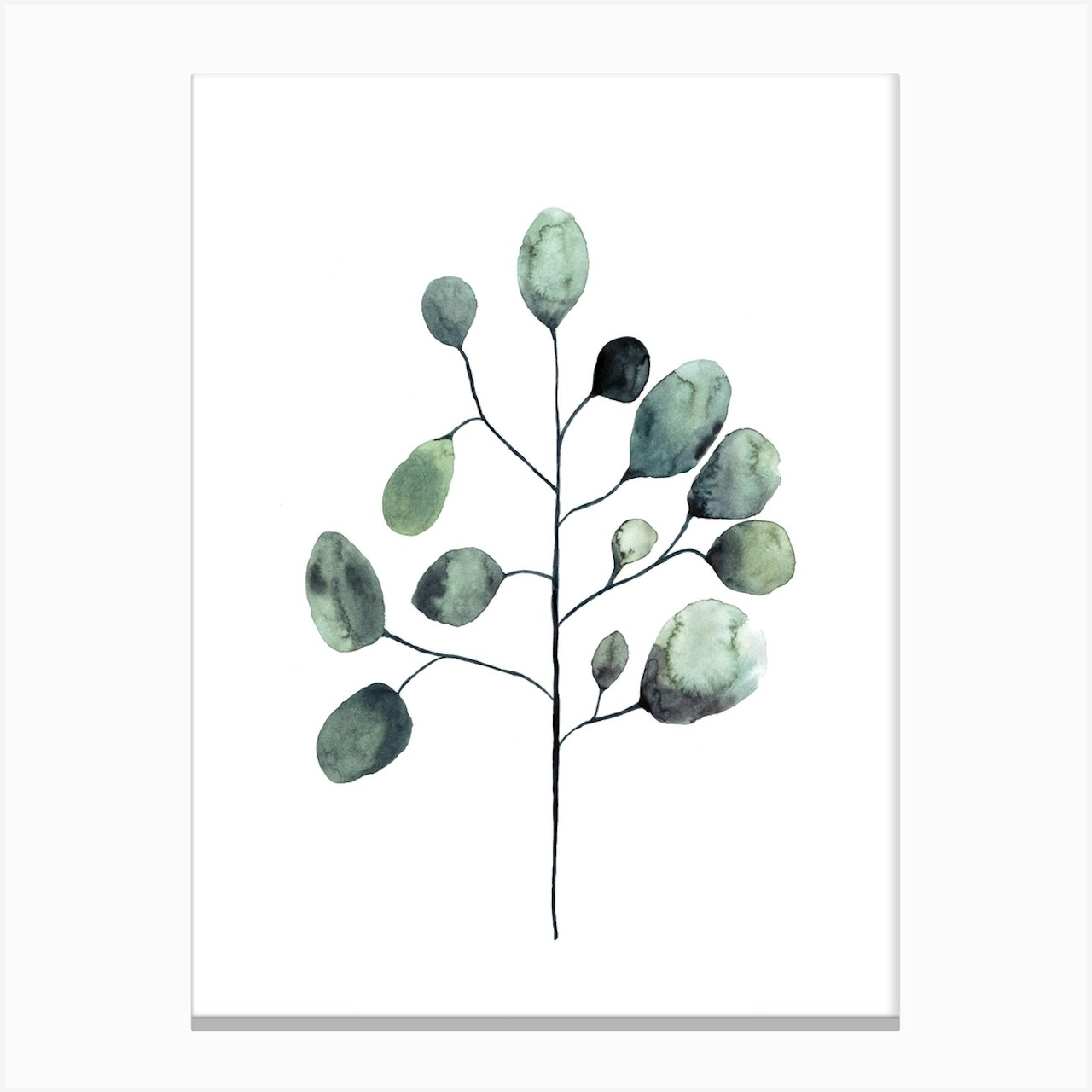 Botanical Illustration Tasmanian Blue Gum Art Print by Mantika Studio - Fy