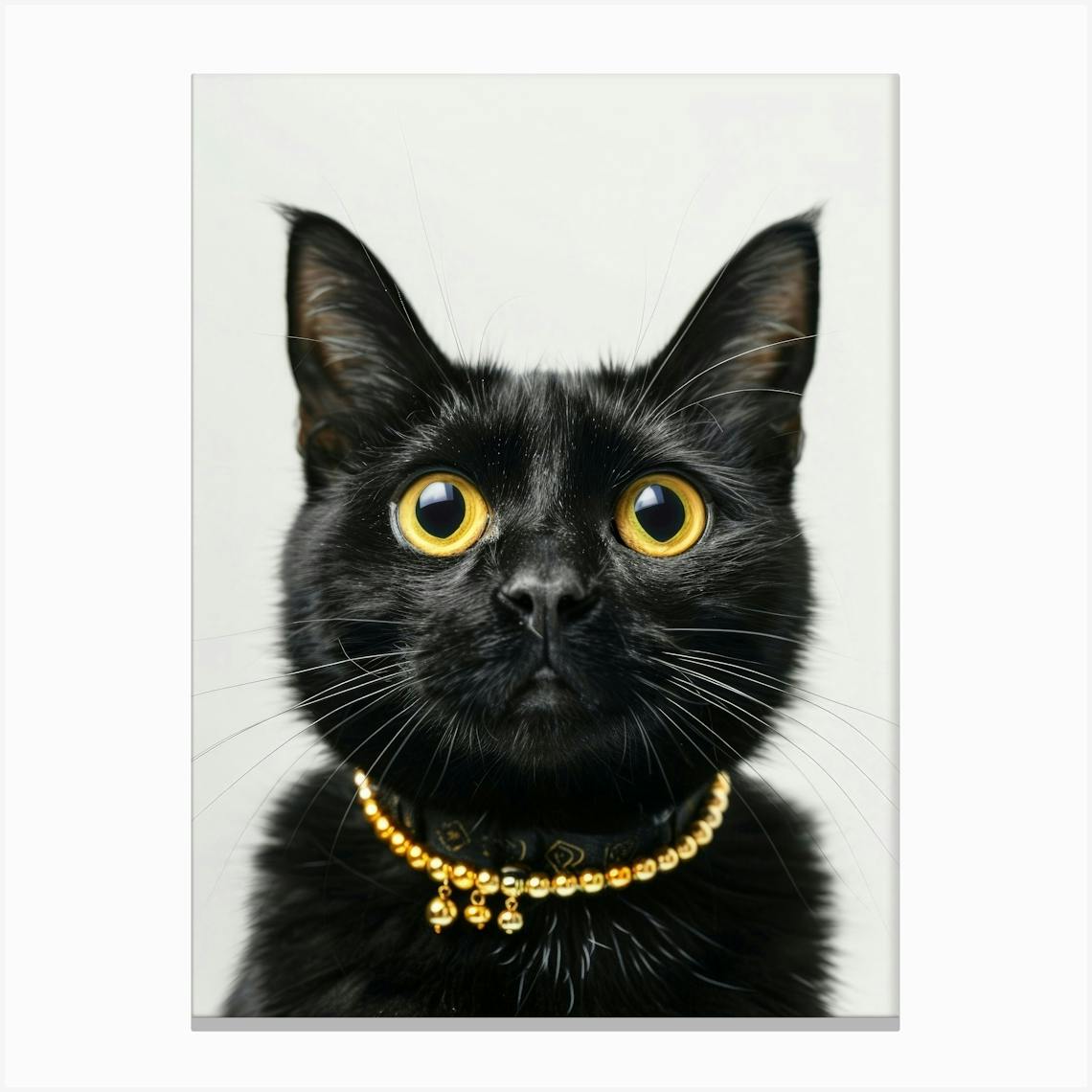 Black Cat With Gold Collar Canvas Print by anhphamkd93 Fy