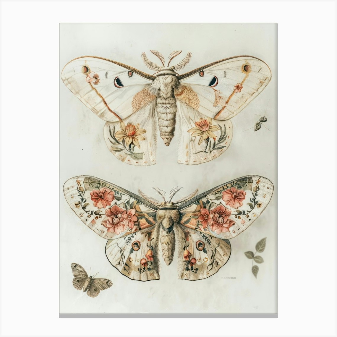 Moths And Butterflies William Morris Style 5 Canvas Print by All Things ...