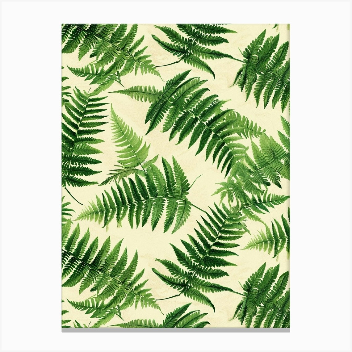 Pattern Poster Button Fern 2 Canvas Print by Petal Pigments - Fy