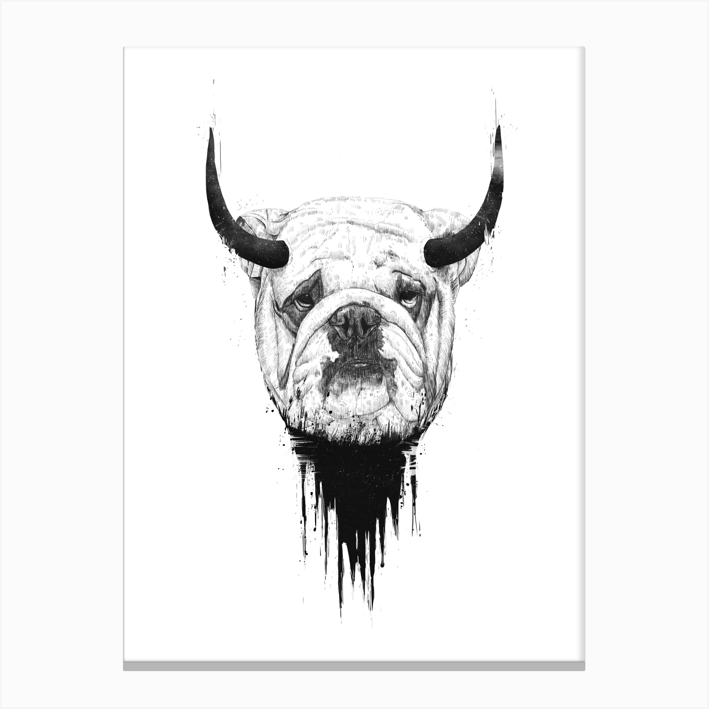 Bulldog Canvas Print by Balázs Solti Fy