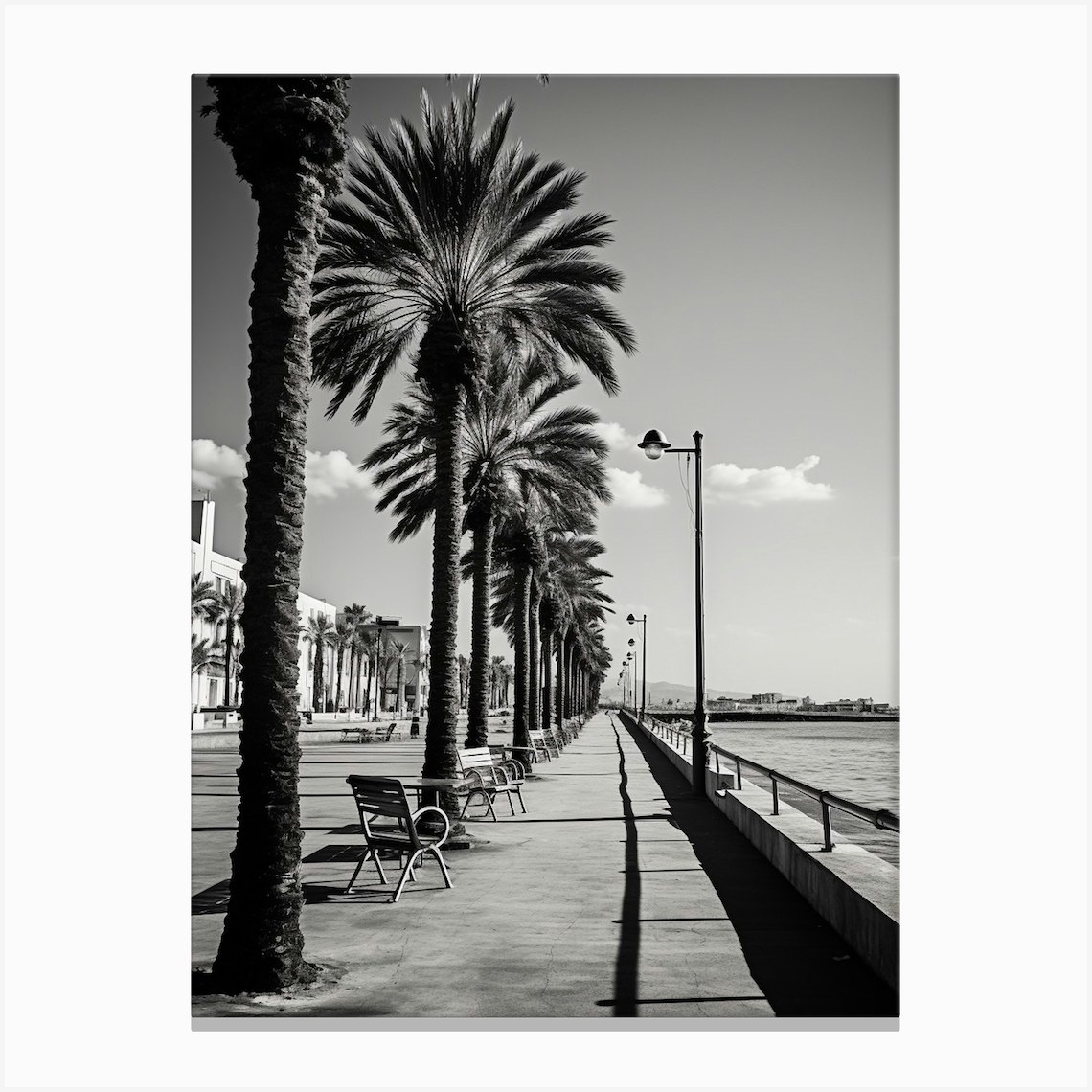 Limassol, Cyprus, Mediterranean Black And White Photography Analogue 3