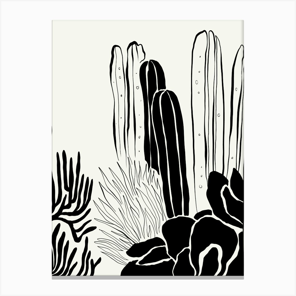 Desert Plants Black And White