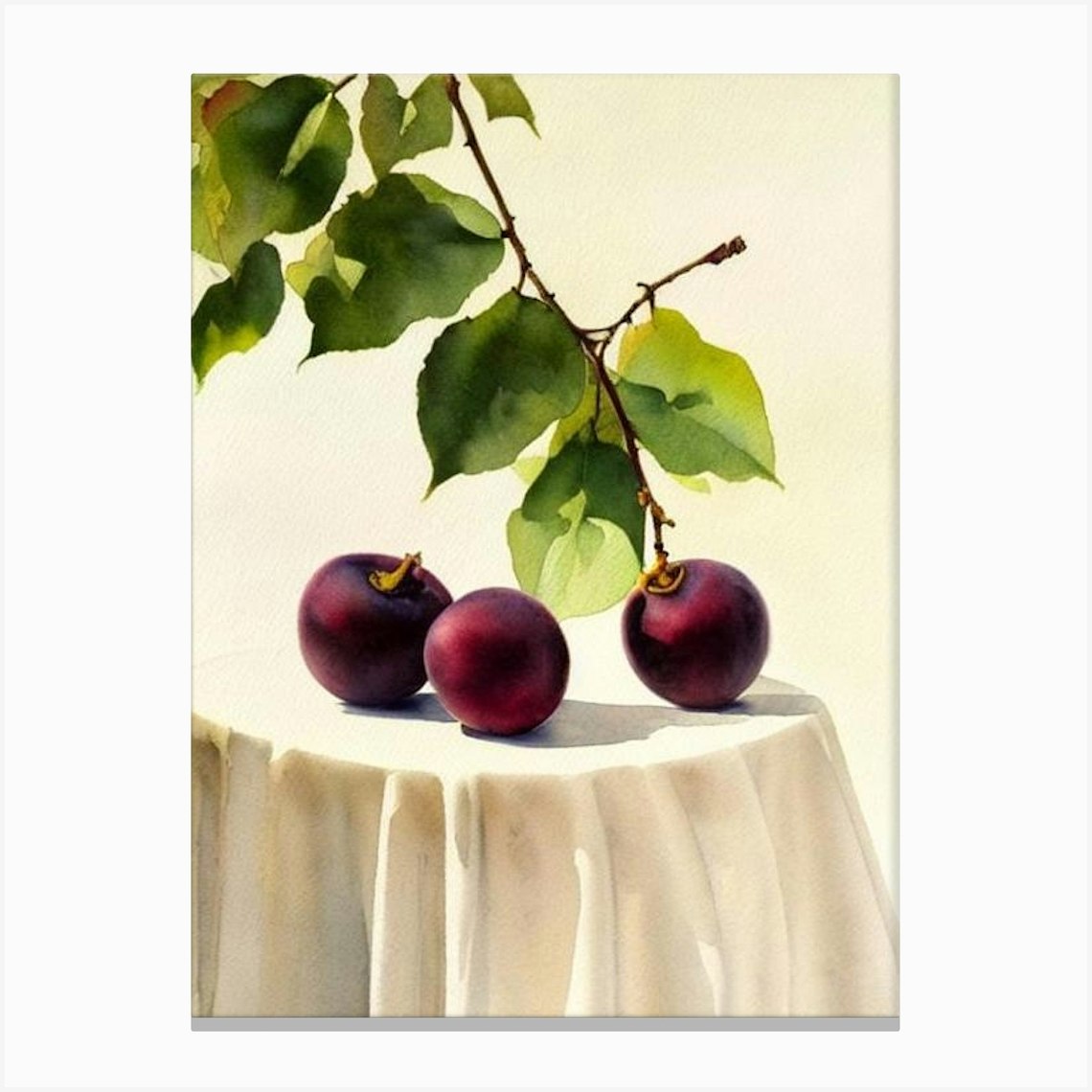 Damson 2 Italian Watercolour fruit Canvas Print by The Fruitery - Fy