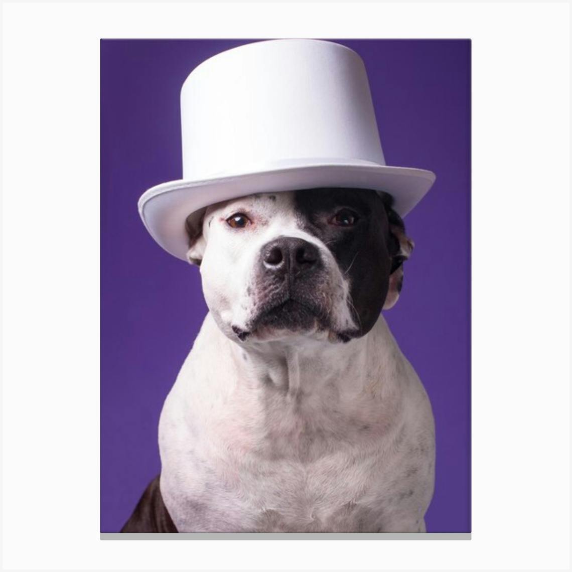 Dog In A Top Hat Personalized Gifts Gifts Gifts for Pets Christmas Gifts Gifts for Friends Birthday Gifts Anniversary Gifts Custom Portrait Custom Pet Portrait Gifts for Mom Dog Portrait Couple Portra...