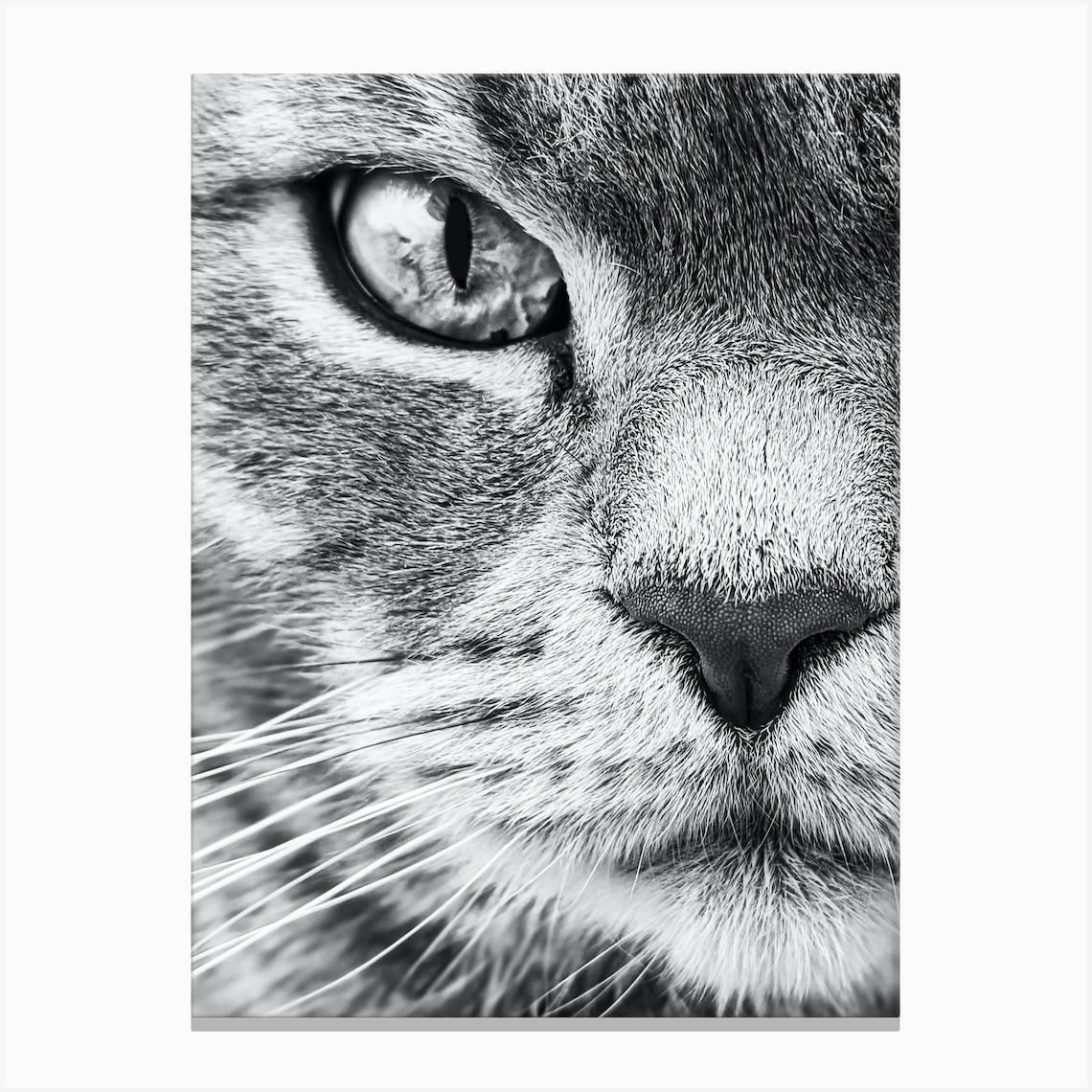 ARTCANVAS American Bobtail Cat Breed Graffiti Canvas Art store Print