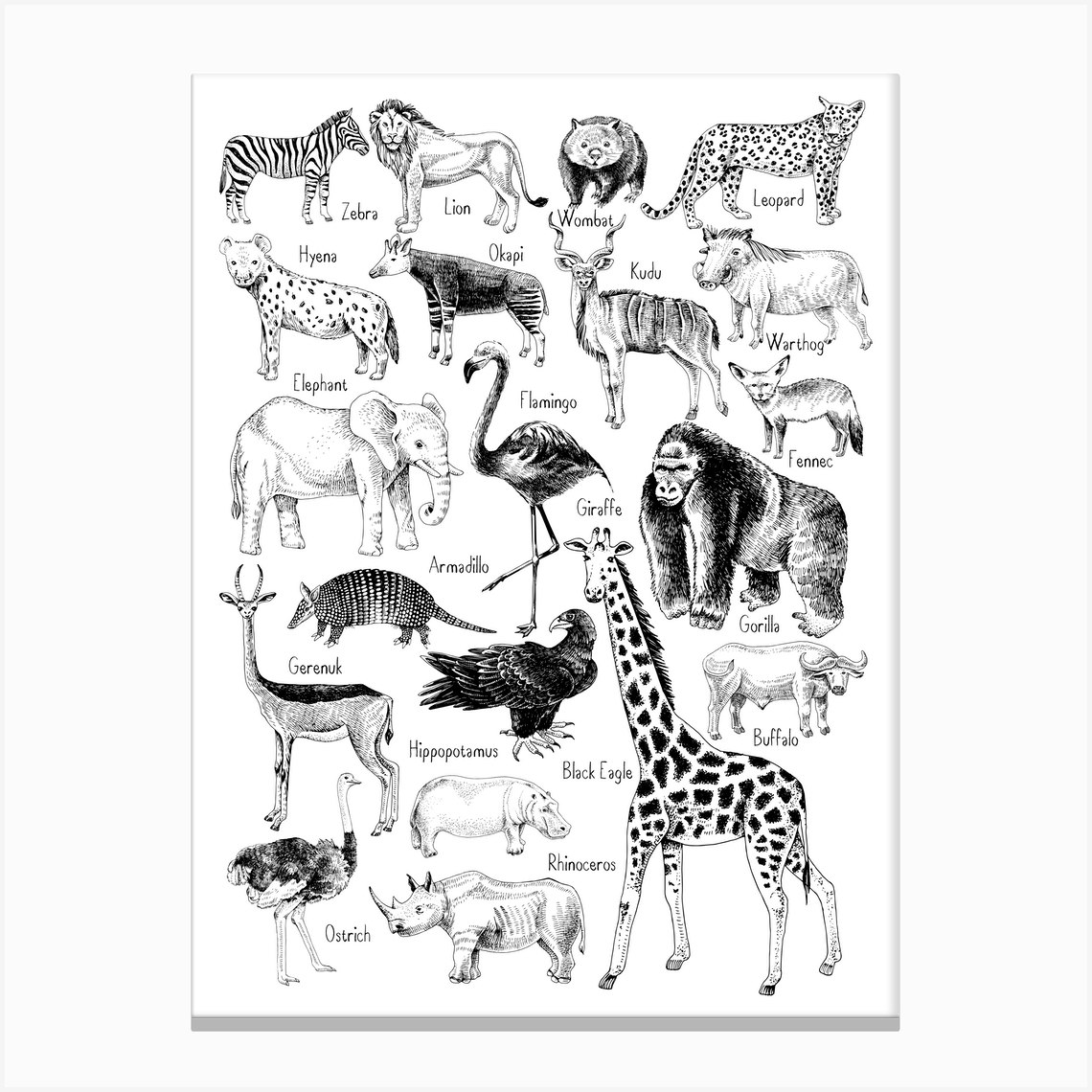 Jungle Animal Canvas Print by Little Doodle Fy