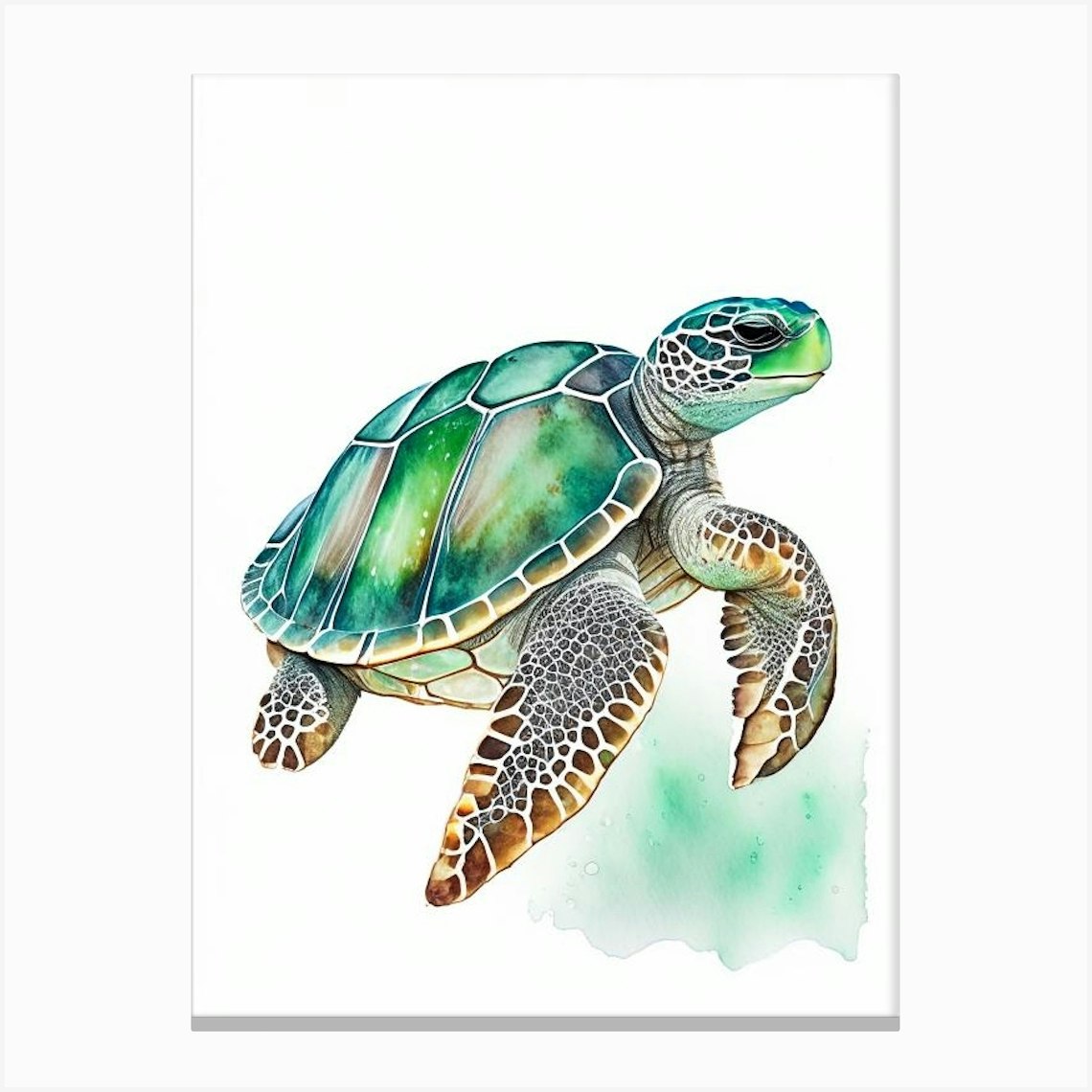 Flatback Sea Turtle (Natator Depressus), Sea Turtle Watercolour 1 ...