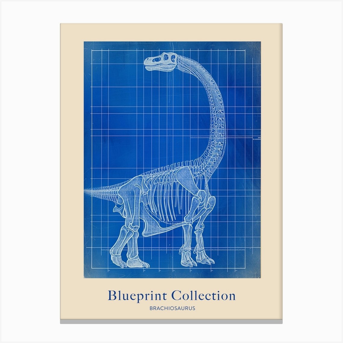 Brachiosaurus Dinosaur Blue Print Sketch 2 Poster Canvas Print by Dino ...