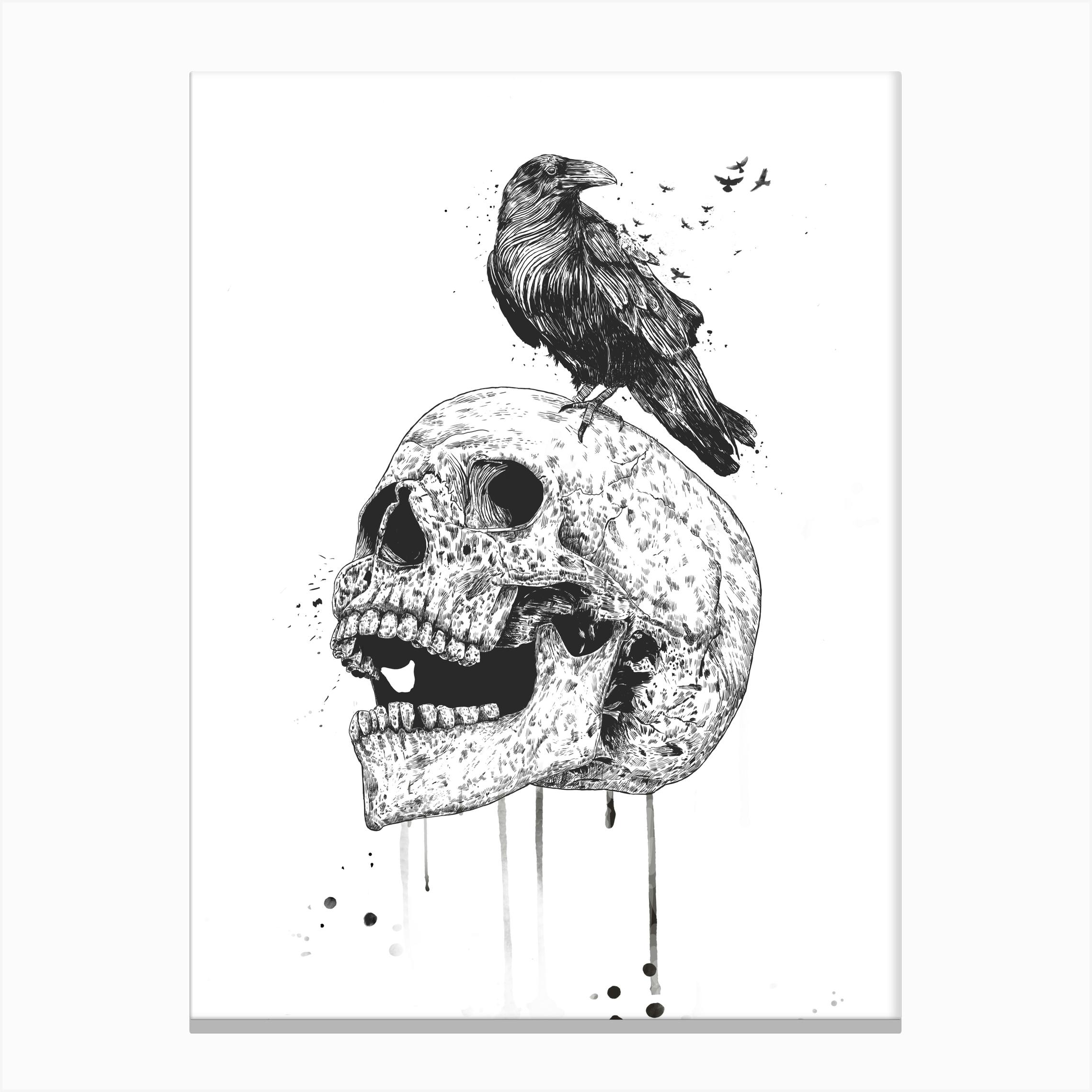 New Skull (bw) Canvas Print By Balázs Solti - Fy