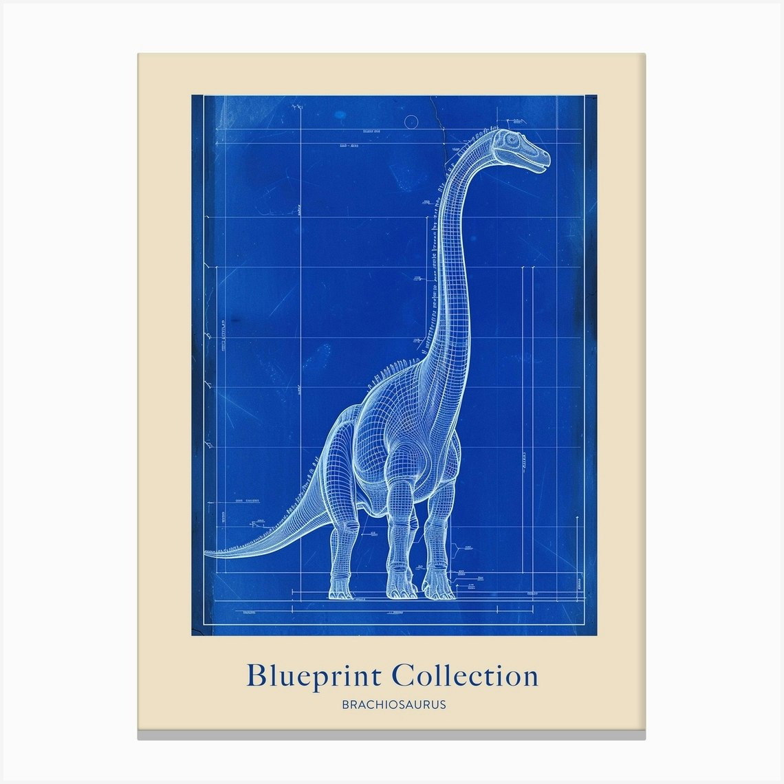 Brachiosaurus Dinosaur Blue Print Sketch 3 Poster Canvas Print by Dino ...