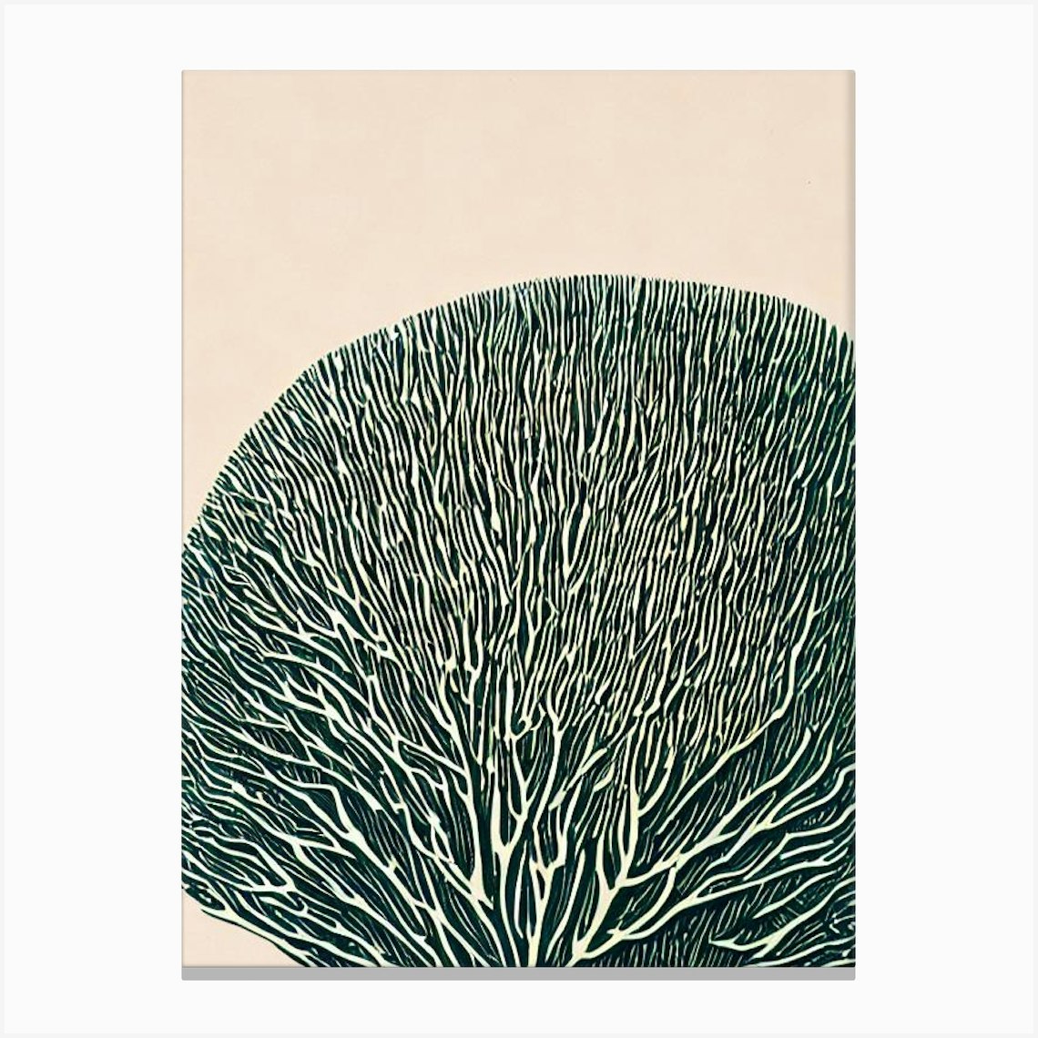 Acropora Digitifera Ii Linocut Canvas Print by Reef Reflections - Fy