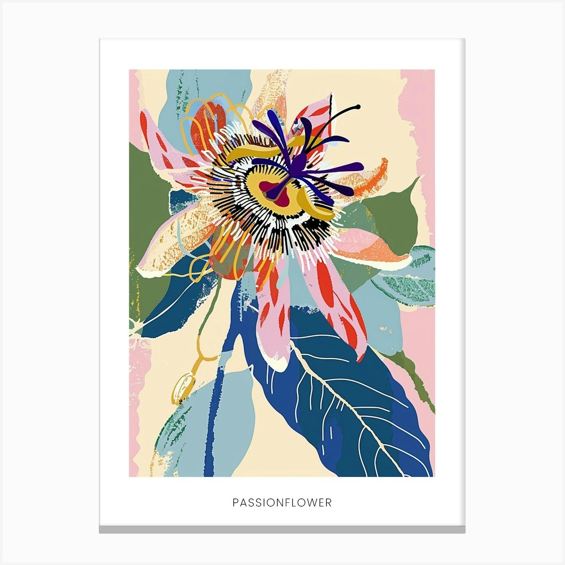 Colourful Flower Illustration Poster Passionflower 3 Canvas Print by ...