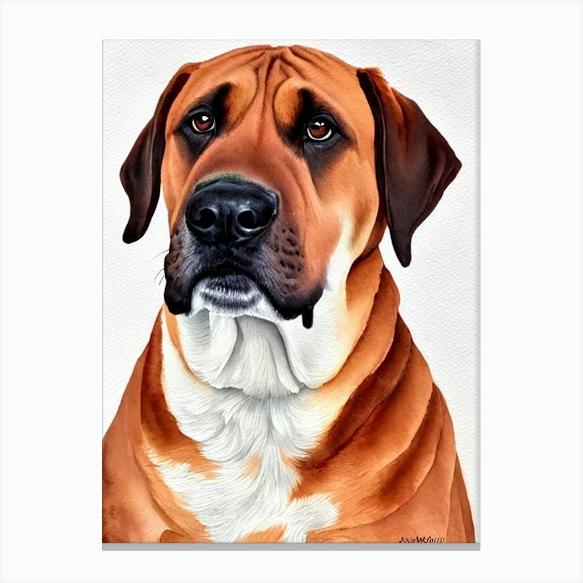 Boerboel Illustration Dog Art Print By Pooch Prints   Fy