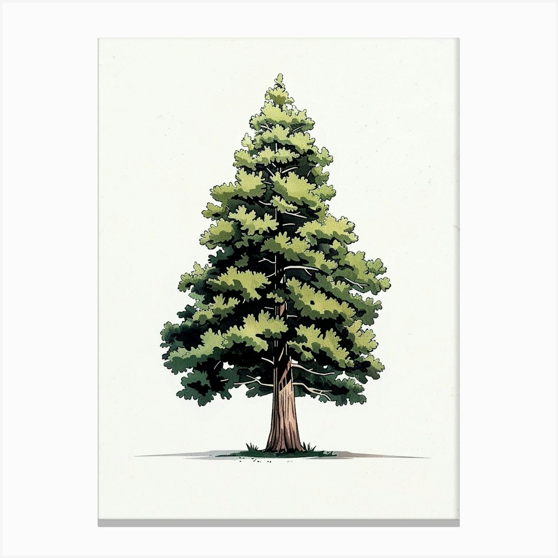 Cedar Tree Pixel Illustration 2 Canvas Print by Bough And Bloom ...