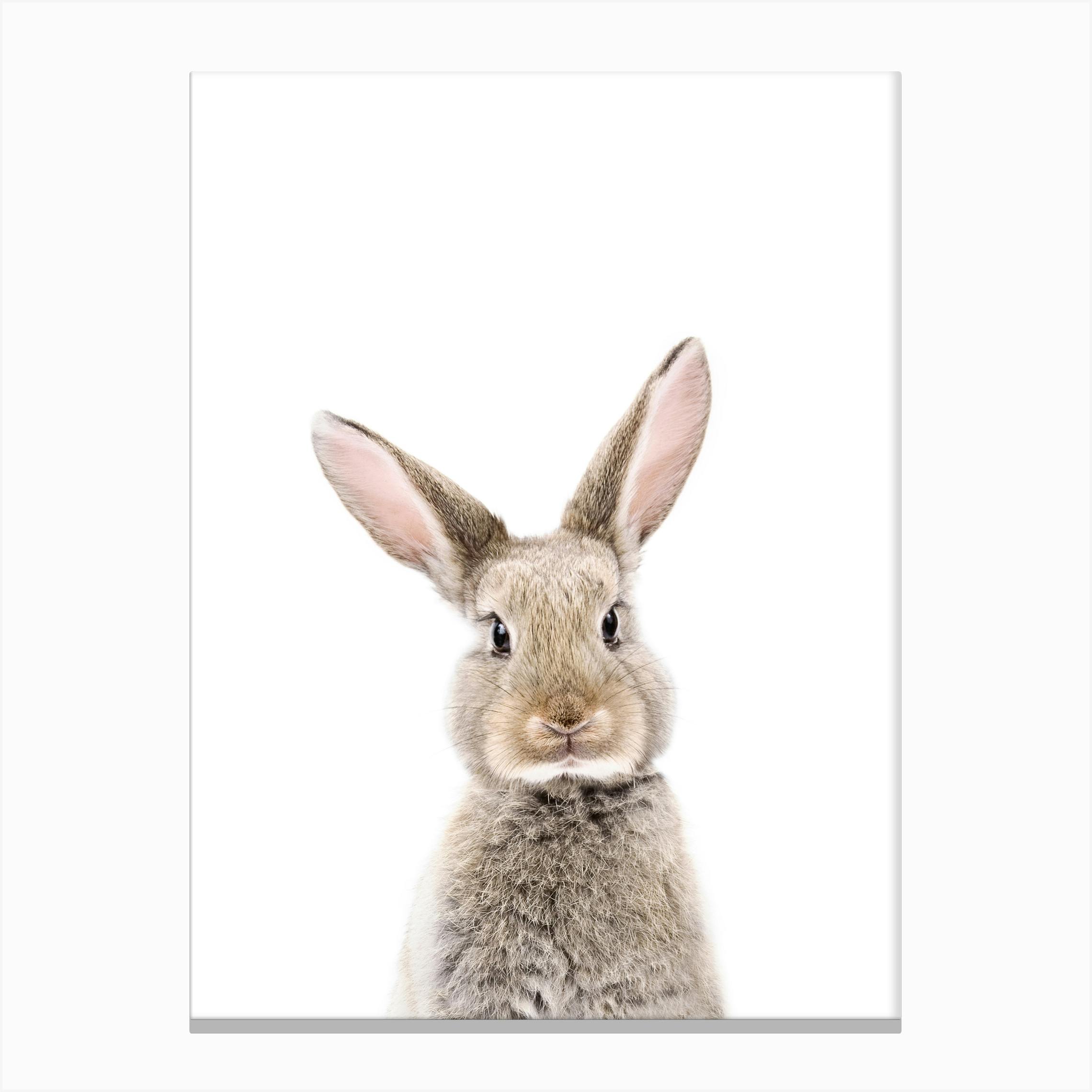 Rabbit Canvas Print by Sisi and Seb Fy Bunny Face Canvas Print by Sisi and Seb