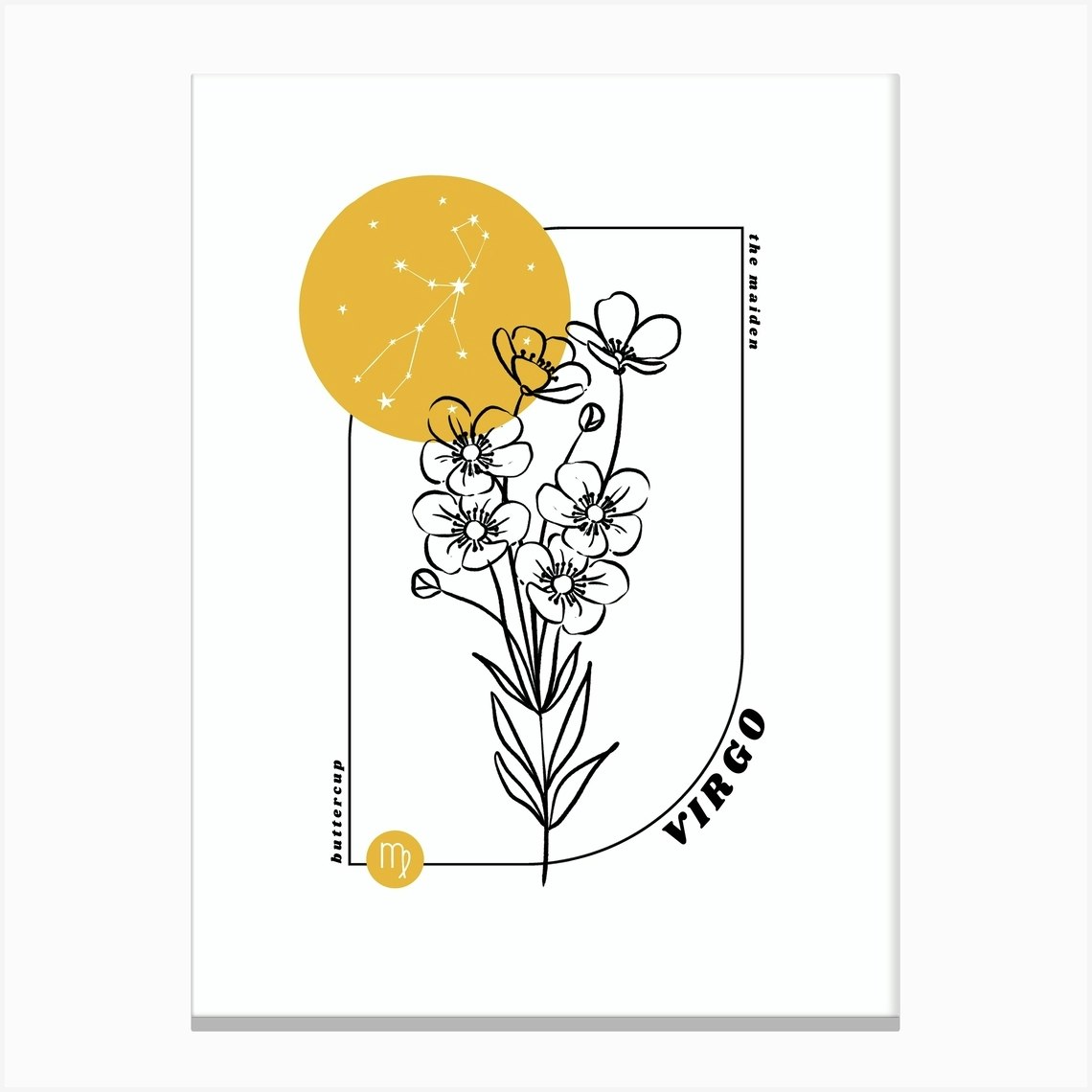 Virgo Birth Flower & Zodiac Sign Canvas Print by Jande Summer Fy