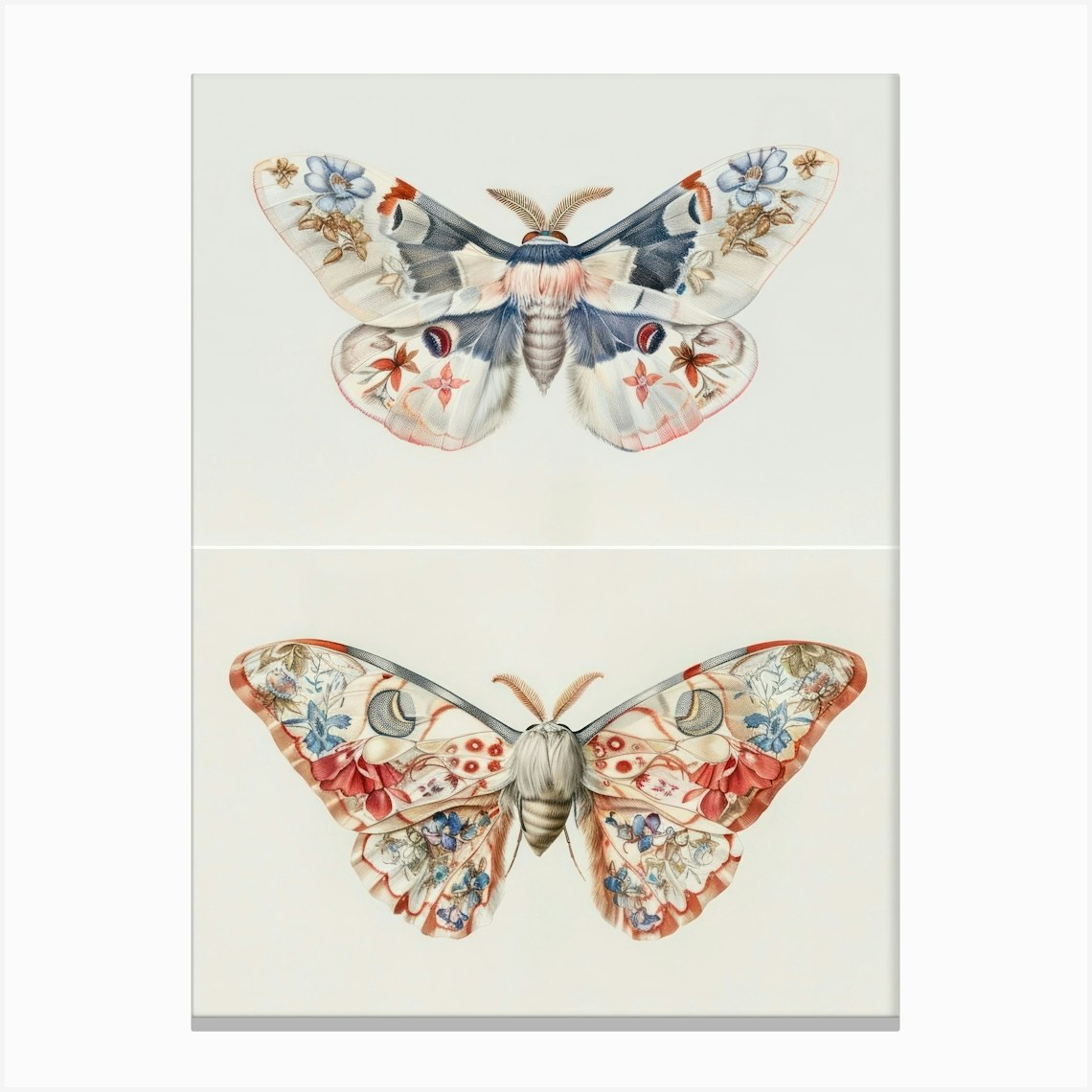 Moths And Butterflies William Morris Style 6 Canvas Print by All Things ...